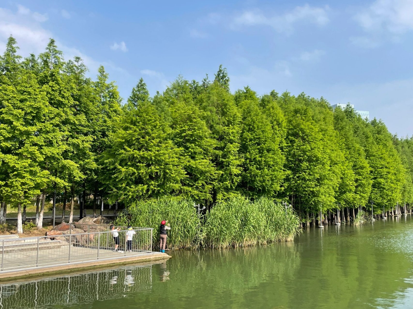 苏州citywalk|独墅湖畔的白鹭园值得打卡 苏州旅游人少的景点～白鹭园