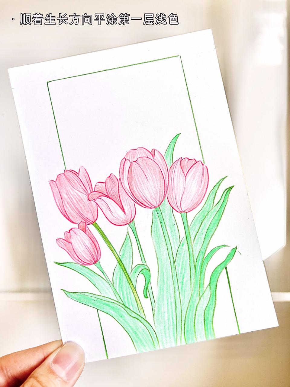 郁金香彩铅画步骤图～ 半小时速画,很简单,大家快去试一试吧～ 下次见