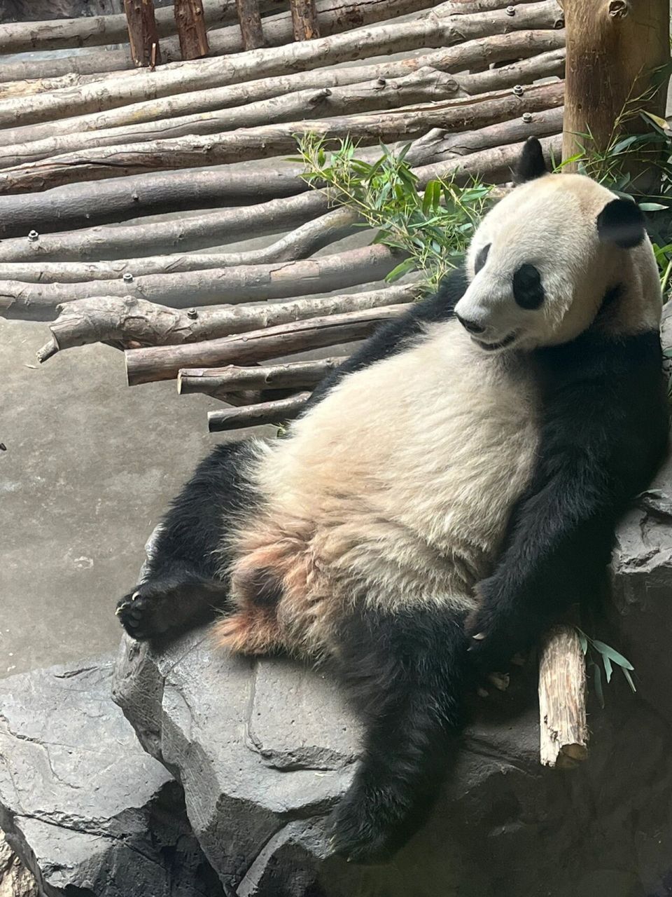 下雨天去红山动物园也太赞了 周一下雨天的快乐动物狂欢日 因为是周一