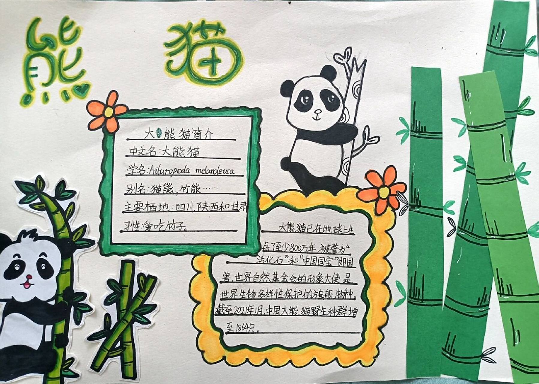 熊猫主题手抄报 手抄报