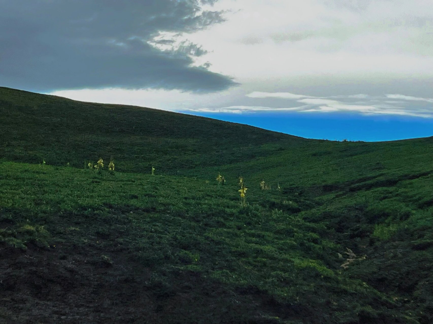 最美果洛藏族自治州 最美果洛藏族自治州玛沁县,这里的人很淳朴,这里