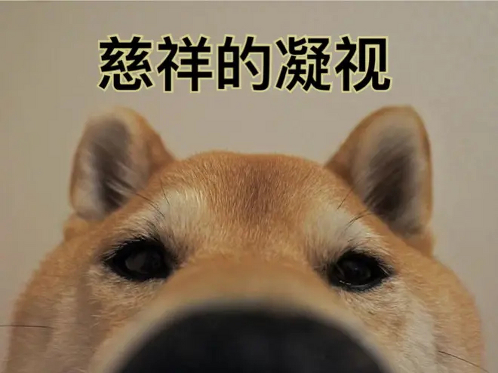 早上好,老铁们 让我来看看,是谁这个点了还没起床[喵喵][喵喵] #ksg