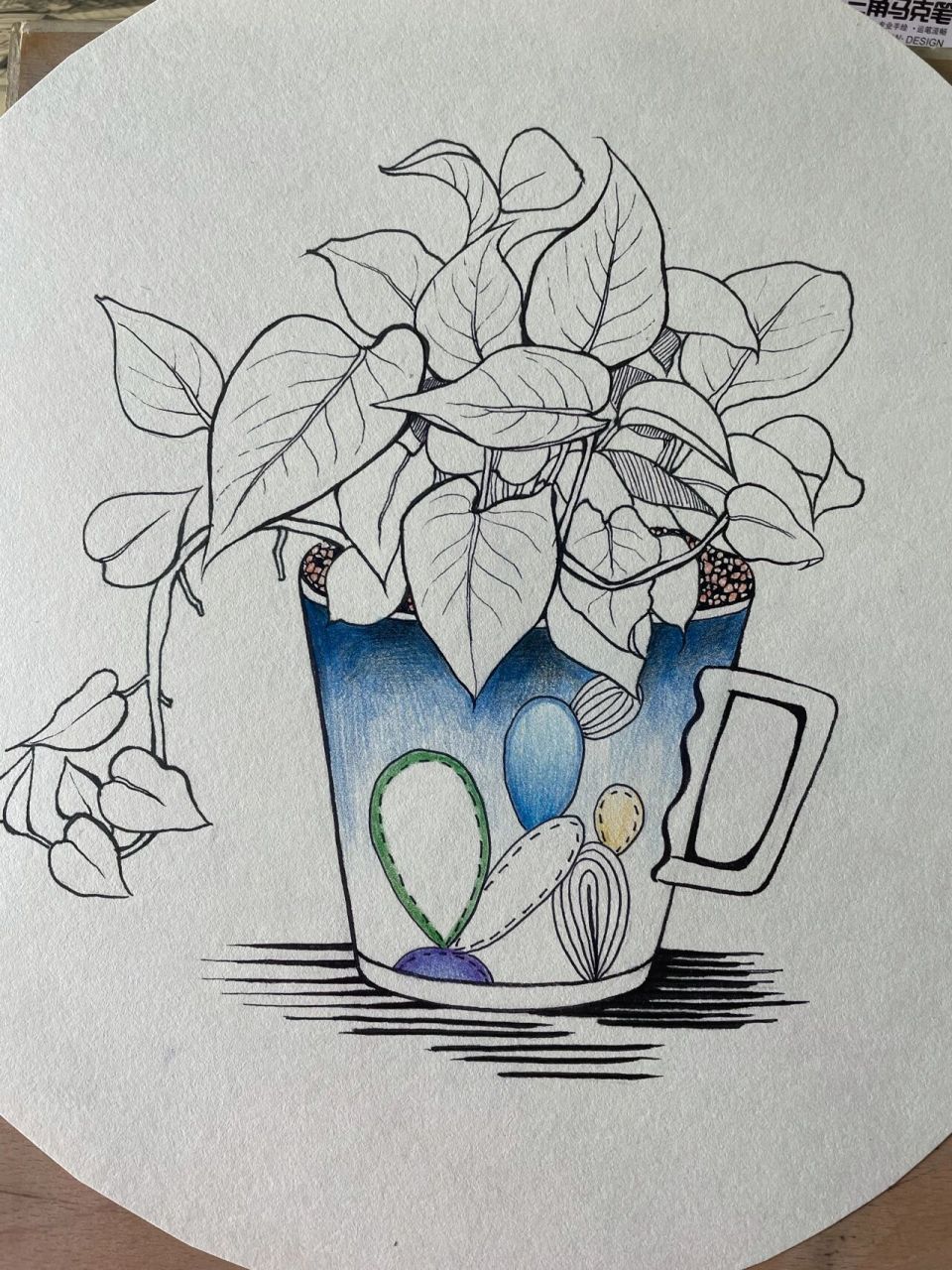 线描绿箩写生(附过程图)    先把型定好,放在画面中间,大概定一下大片