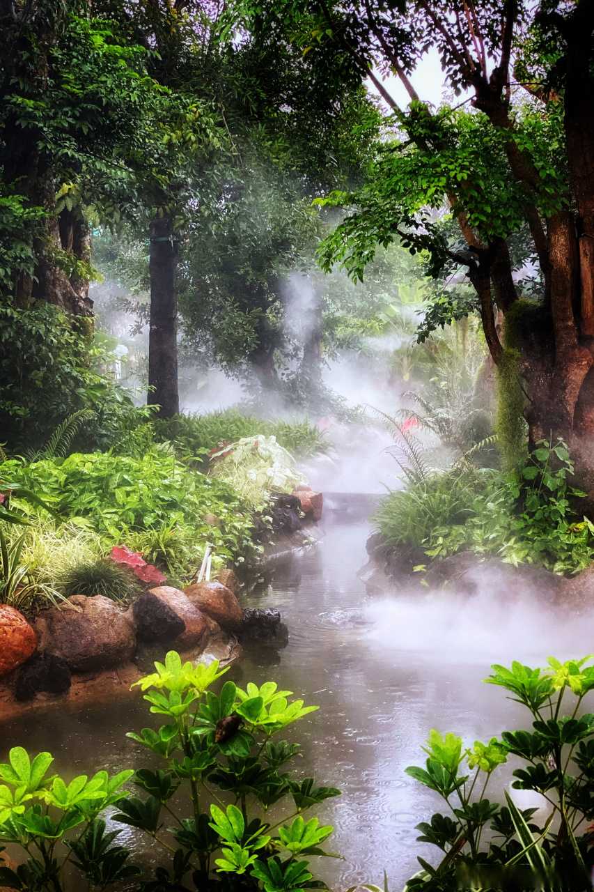 炎炎夏日,带上你的手机~和我们一起出发去定安的香世界·香草田园拍摄