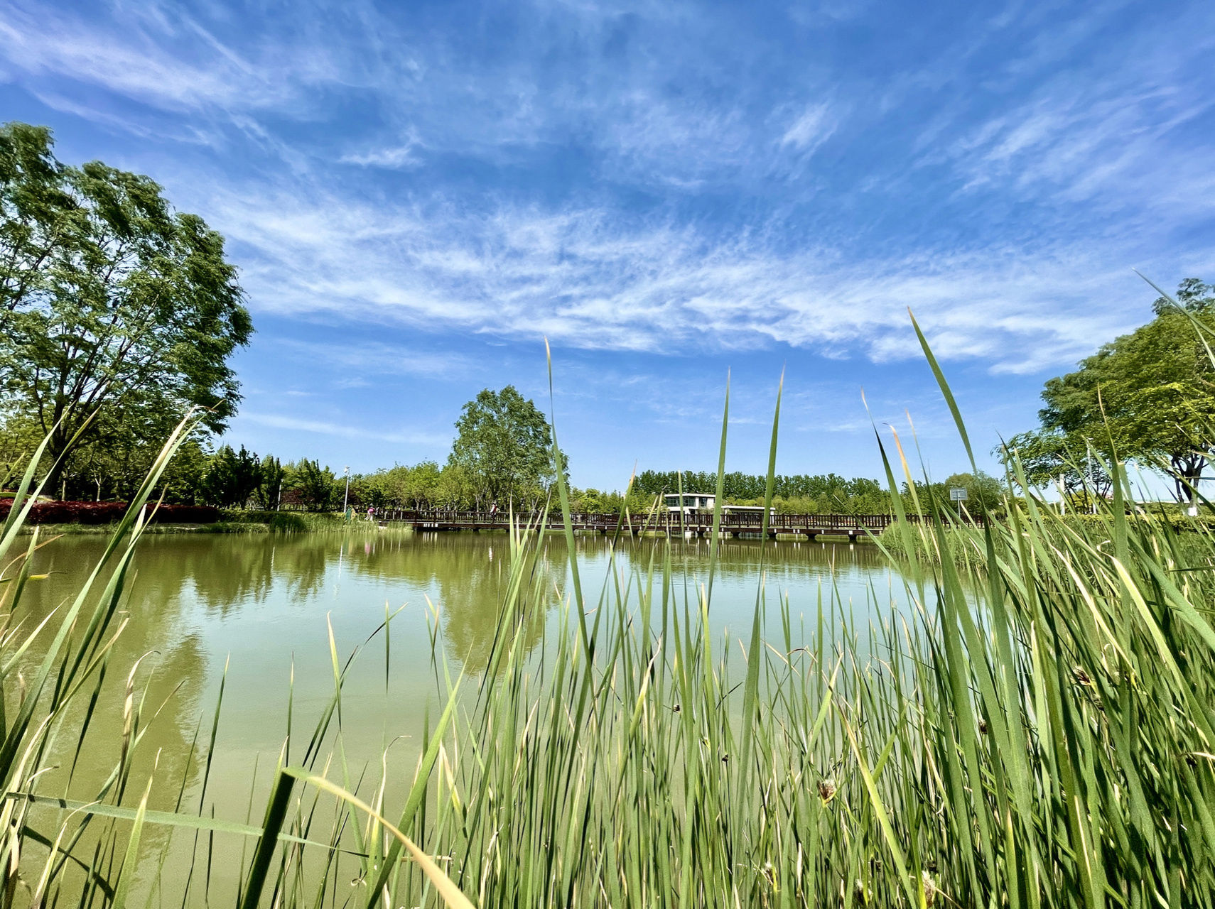 隐藏在高速旁的多彩公园:高新区锦和公园 郑州高新区 锦和公园 公园