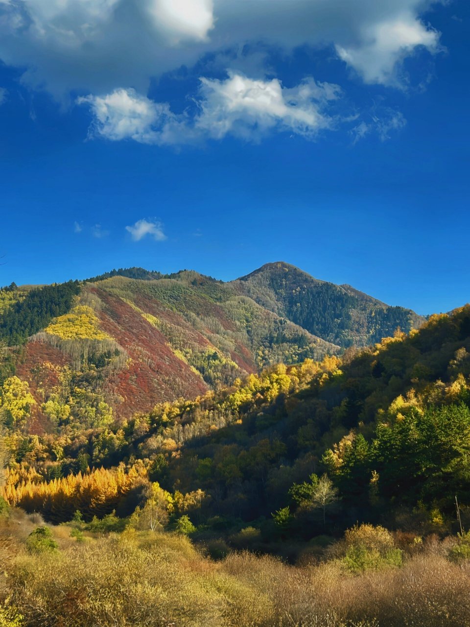 地址:导航「兴隆山风景区」,兰州市城关区雁滩自驾1