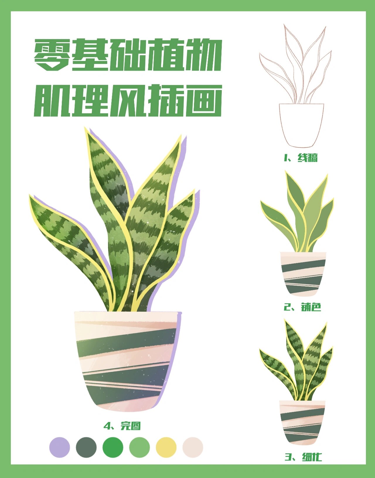 零基础学插画|盆栽虎皮兰插画绘画步骤