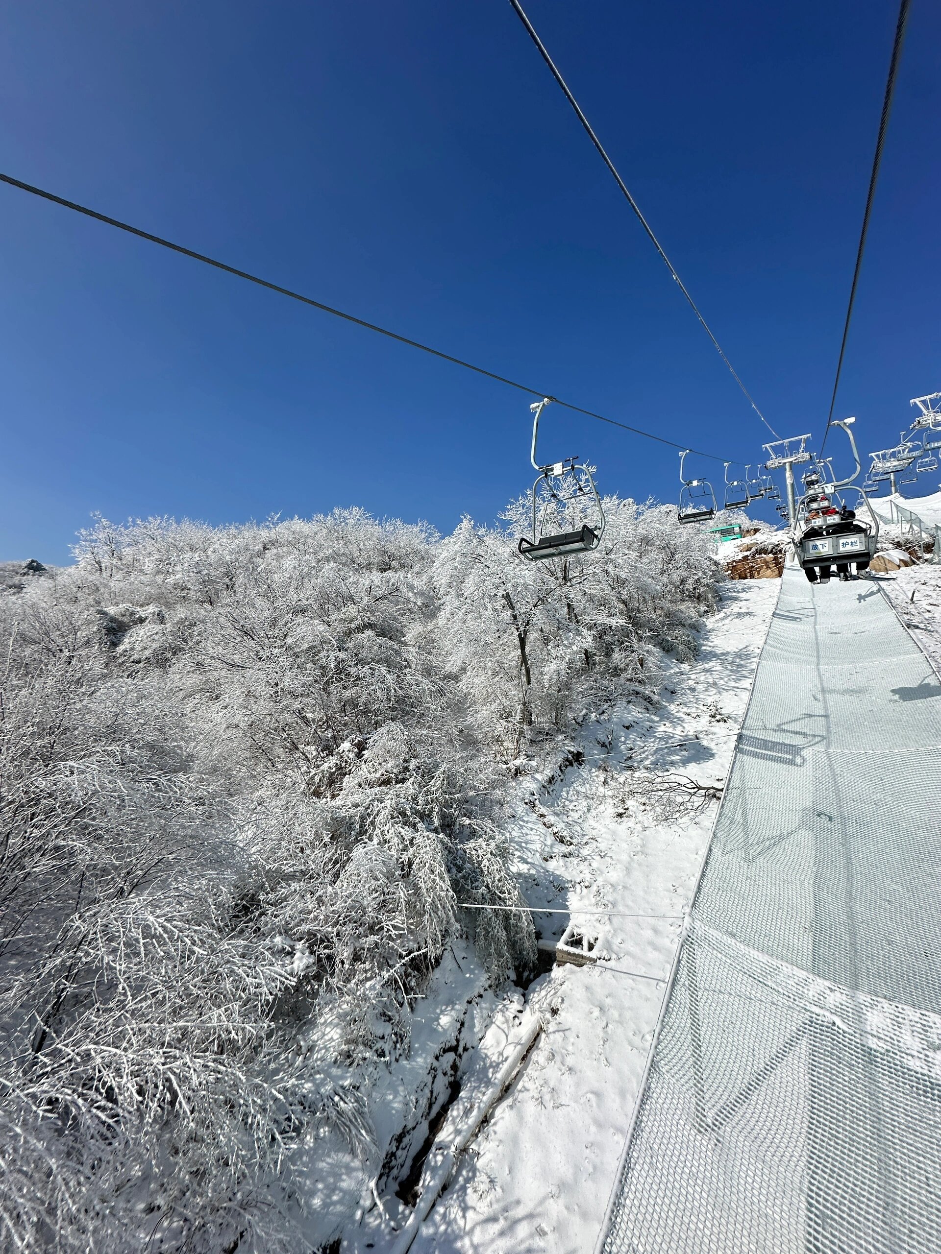 云上草原雪场图片