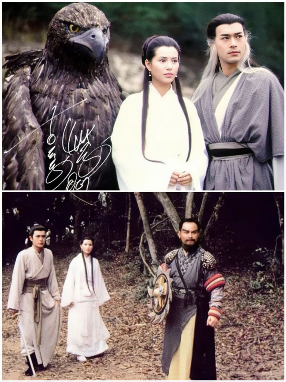重温100部怀旧电视剧(011)神雕侠侣 1995 《神雕侠侣》1995版#古天乐