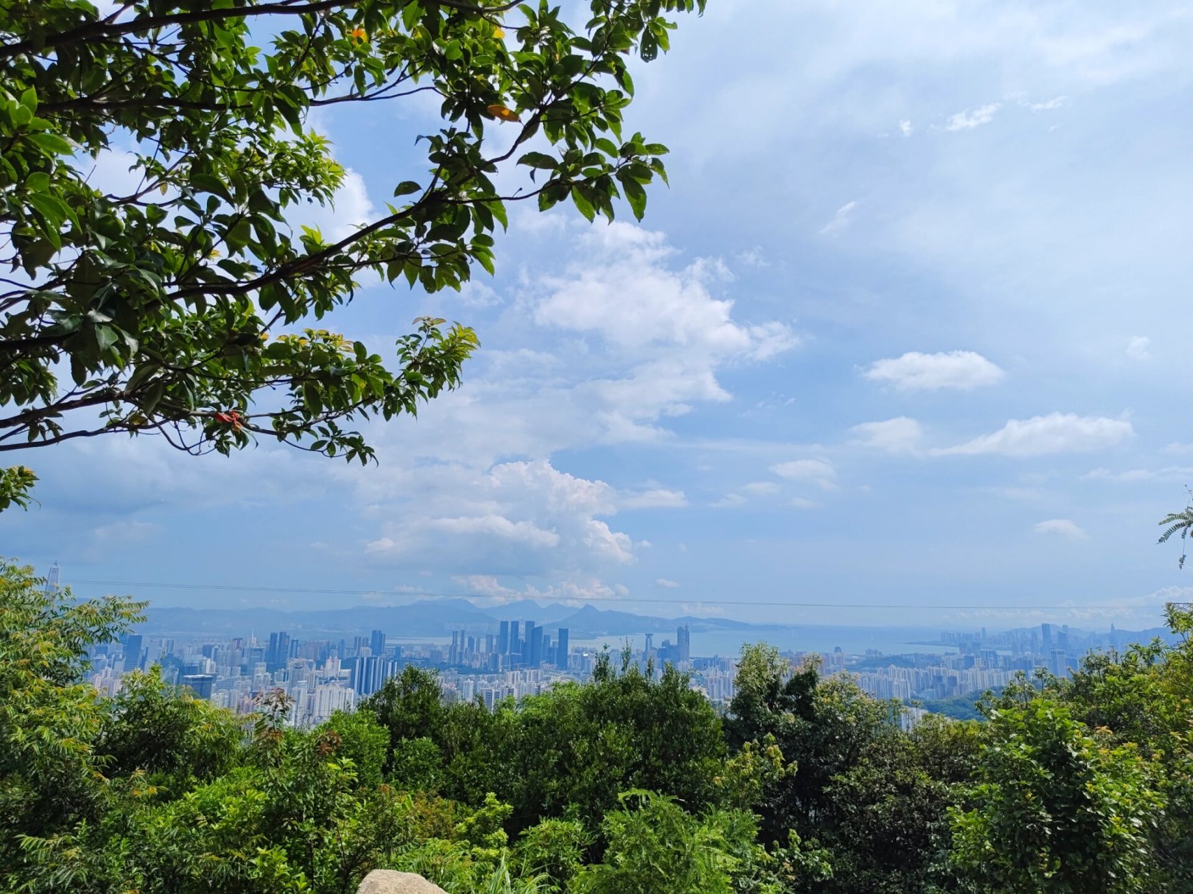 梅林山郊野径徒步攻略 上梅林出发 根据图片顺序往上走,到了大脑壳