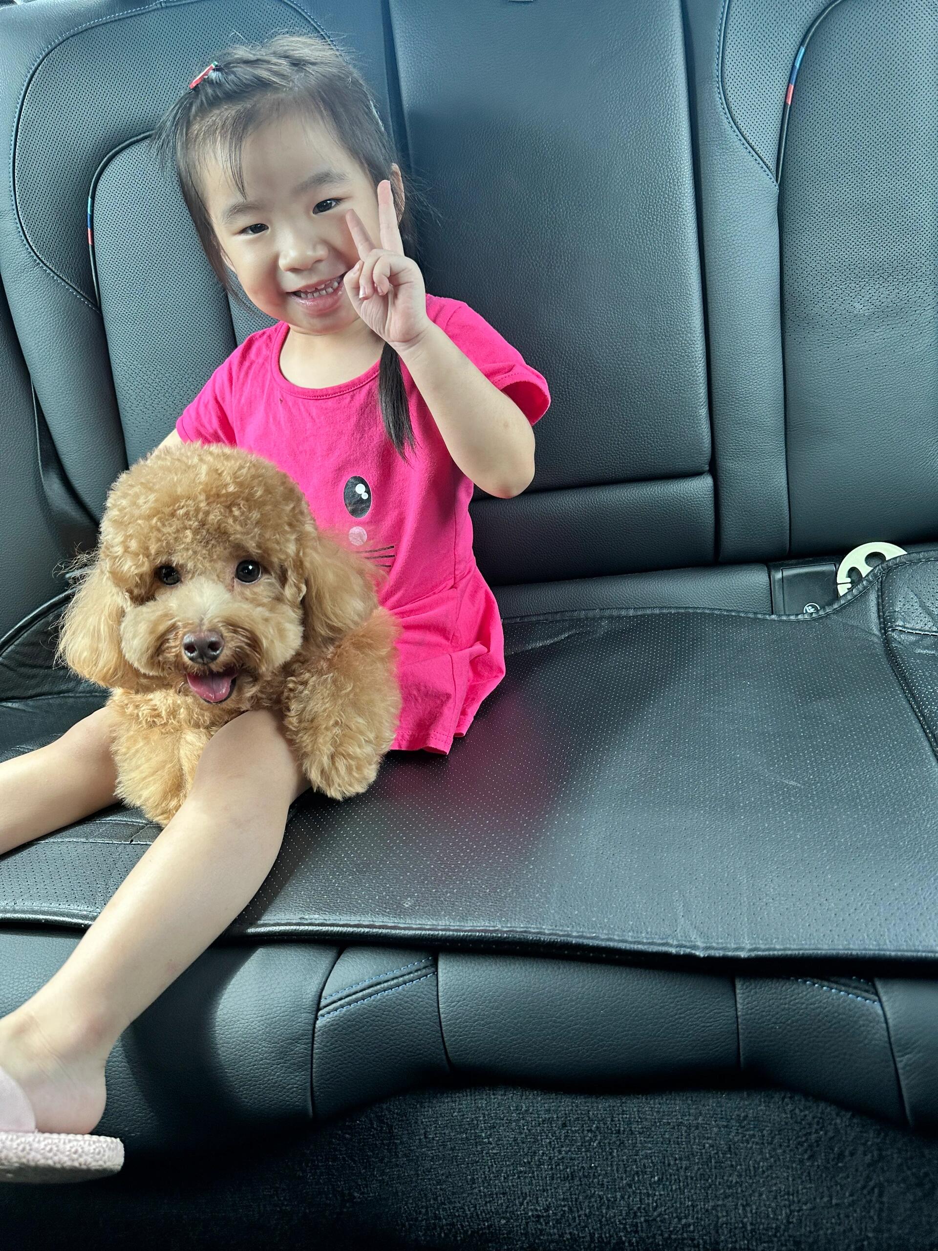 二,影响犬寿命的因素犬寿命与品种,性别,体型,饲养条件,运动,疾病等