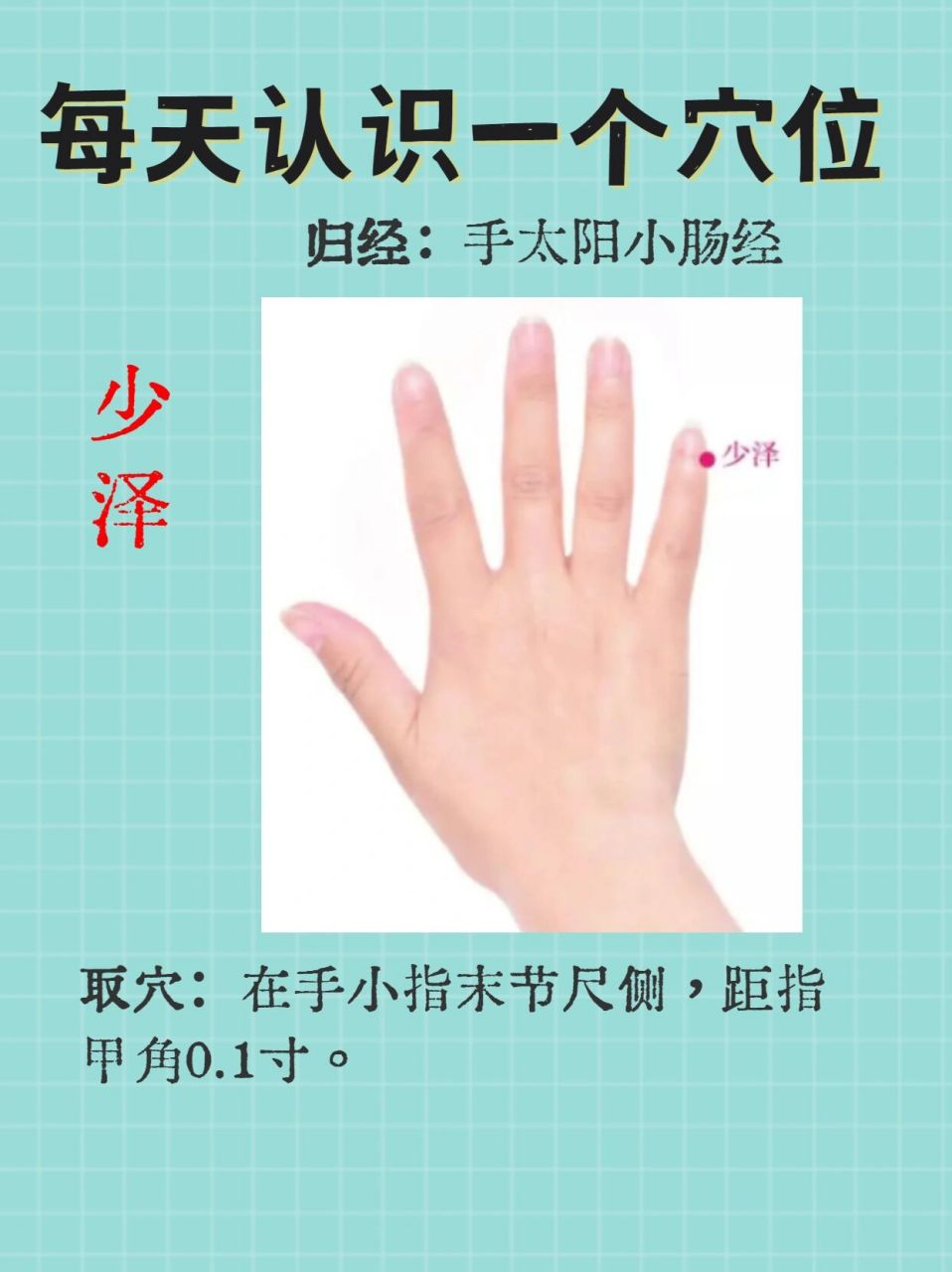 每天认识一个穴位-少泽