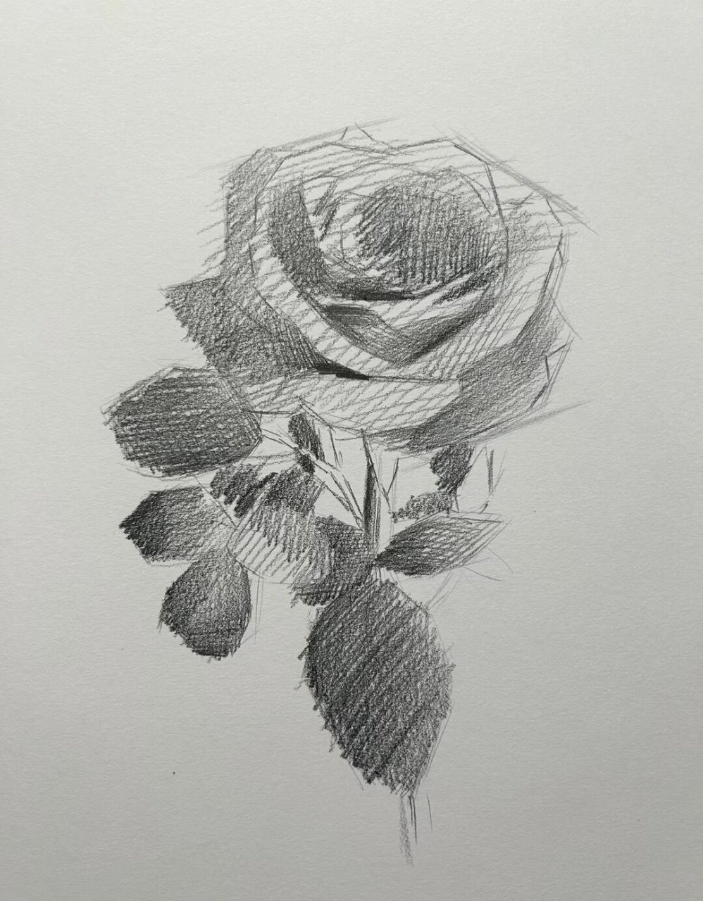 素描单体玫瑰95|超详细绘画步骤! 滑动让画更详细!