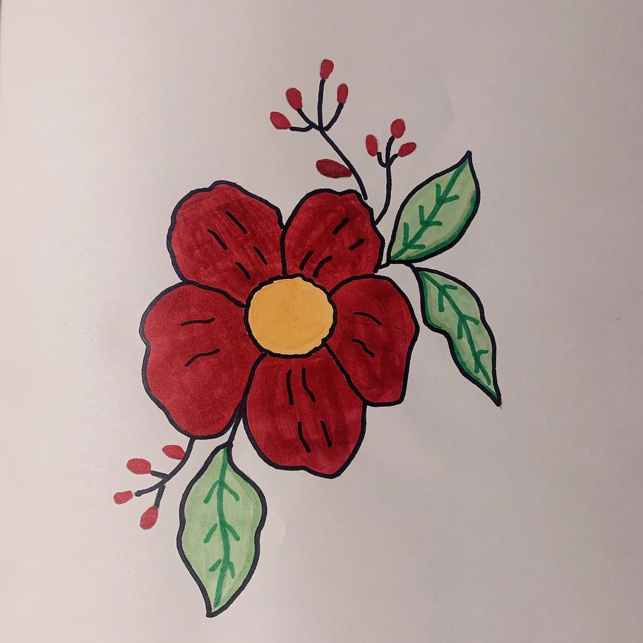 画画 花植物简笔画手绘