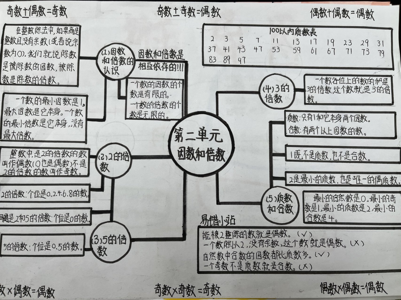 免费思维导图人教版图片