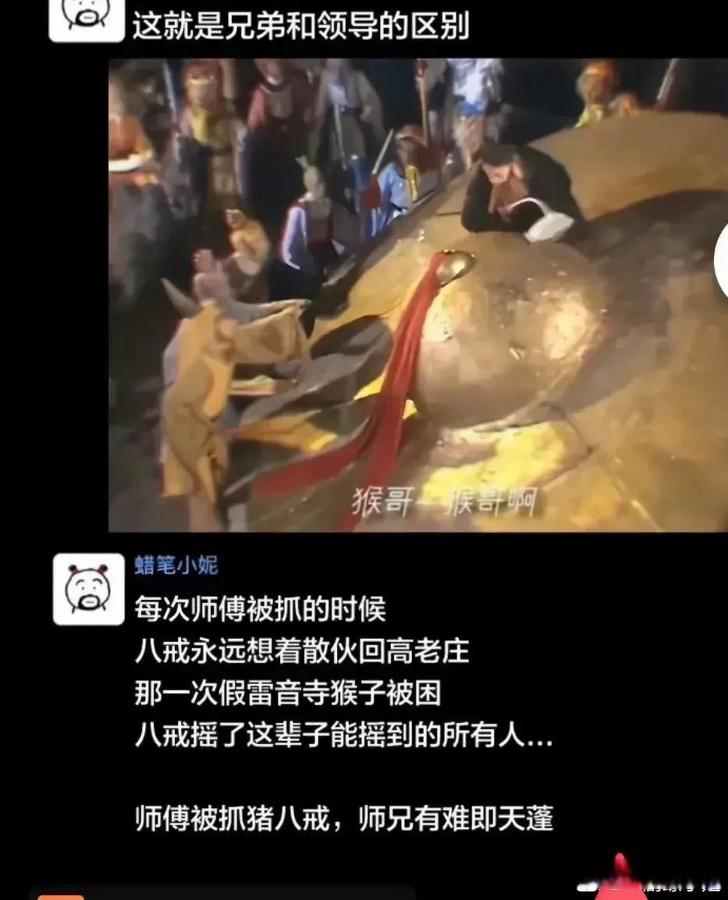 小雷音寺猪八戒摇人图片