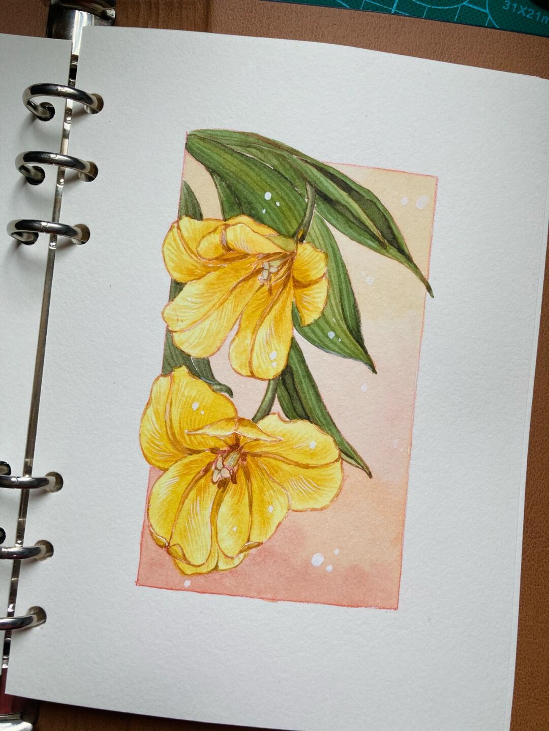 挑战30天/12天原创水彩花卉 欢迎小伙伴临摹,勿商用 颜料:荷尔拜因 纸