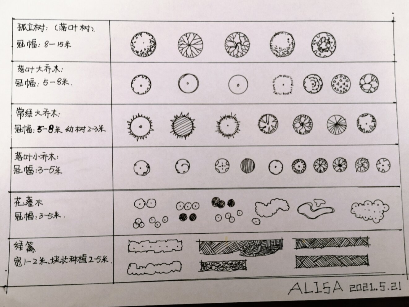 景观植物手绘图例图片