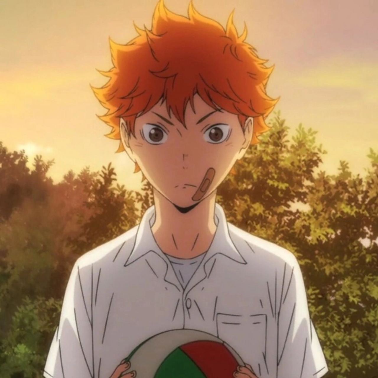 《排球少年》日向翔阳 头像合集 小太阳来啦!