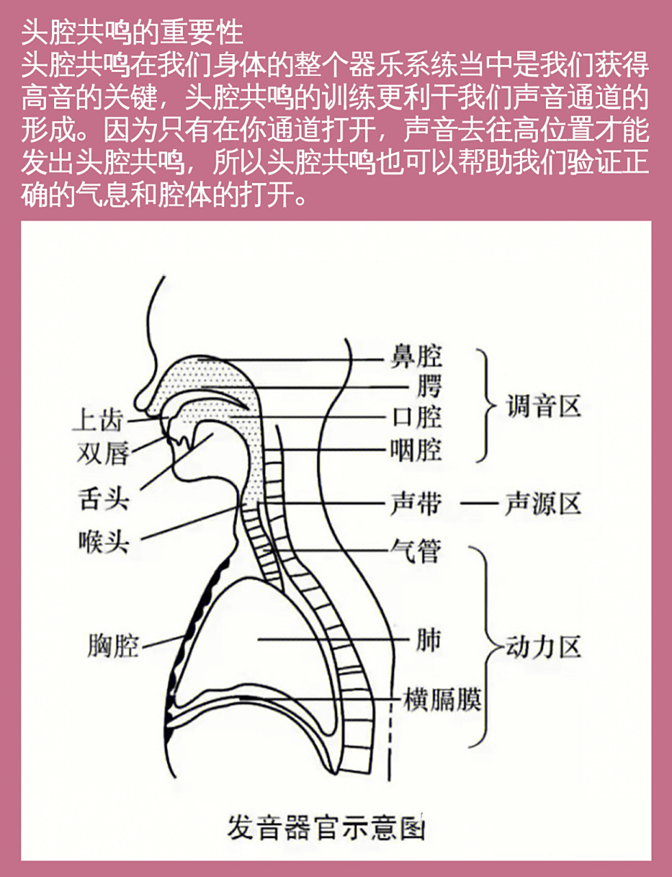 头腔共鸣是唱歌的时候非常重要的一种现象!