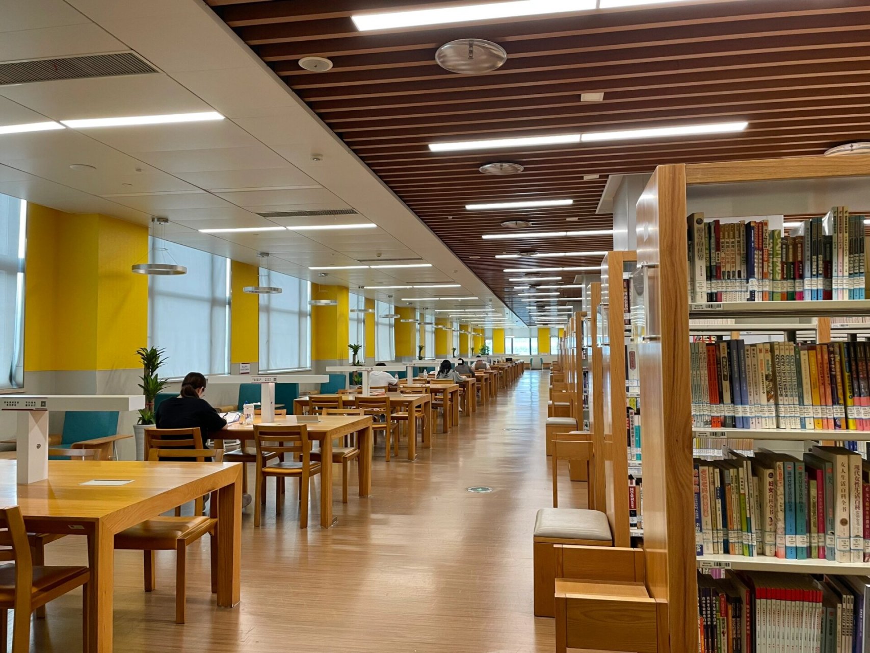 厦门市图书馆|环境绝了  集美分馆 环境超好看 不需要预约 直接进