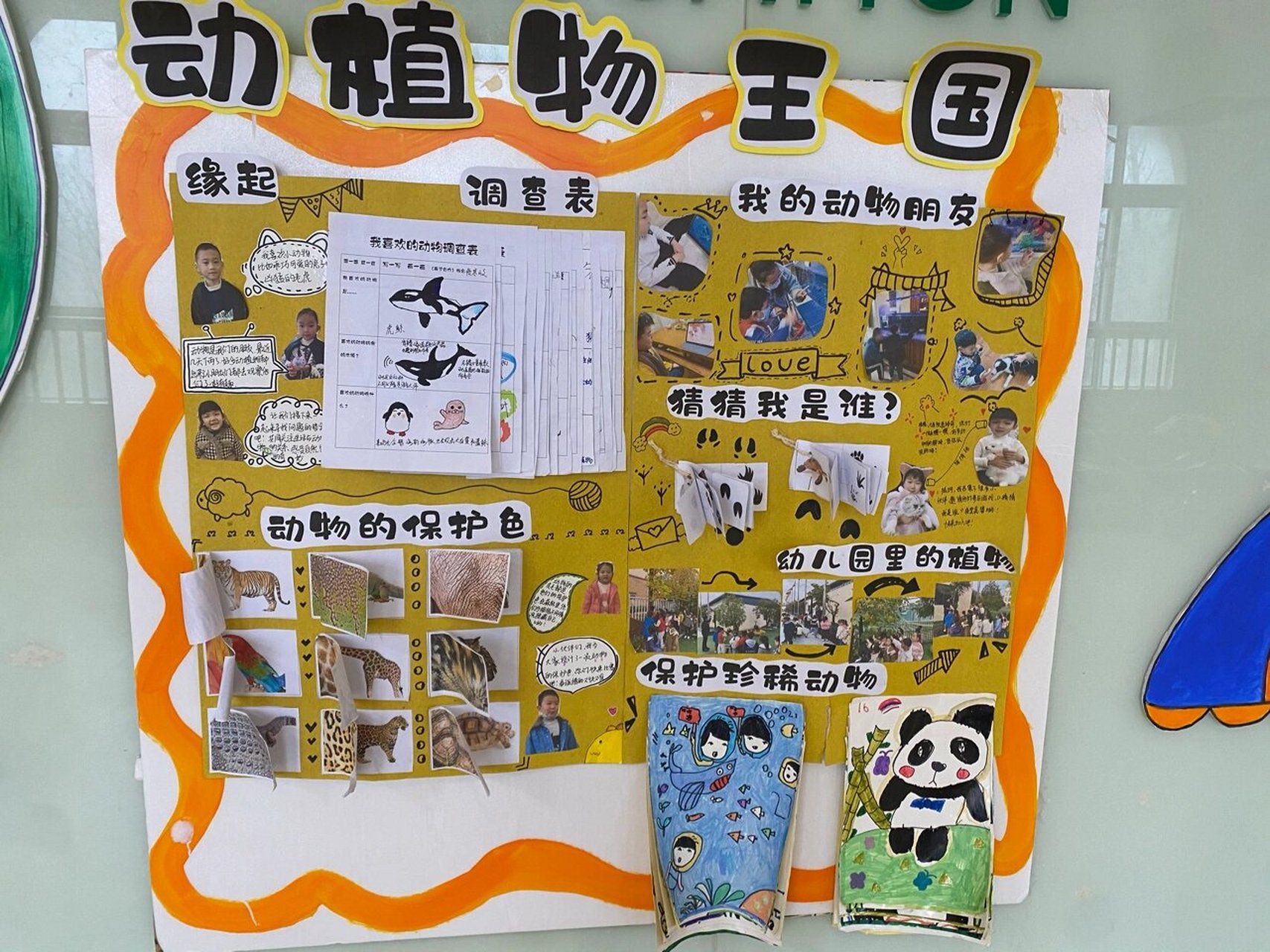 大班主题墙《动植物王国》 有关于动物