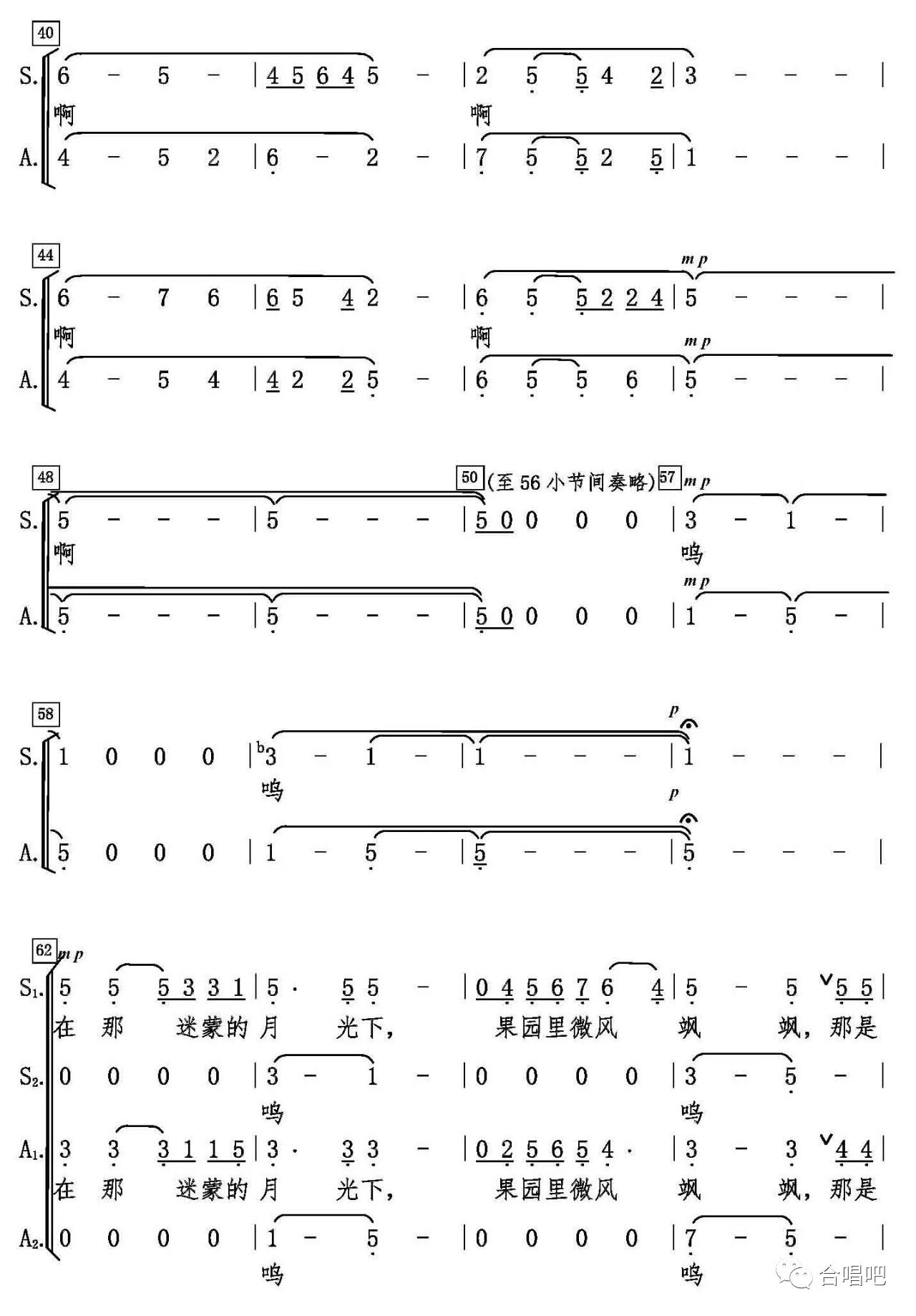 合唱谱《葡萄园夜曲》