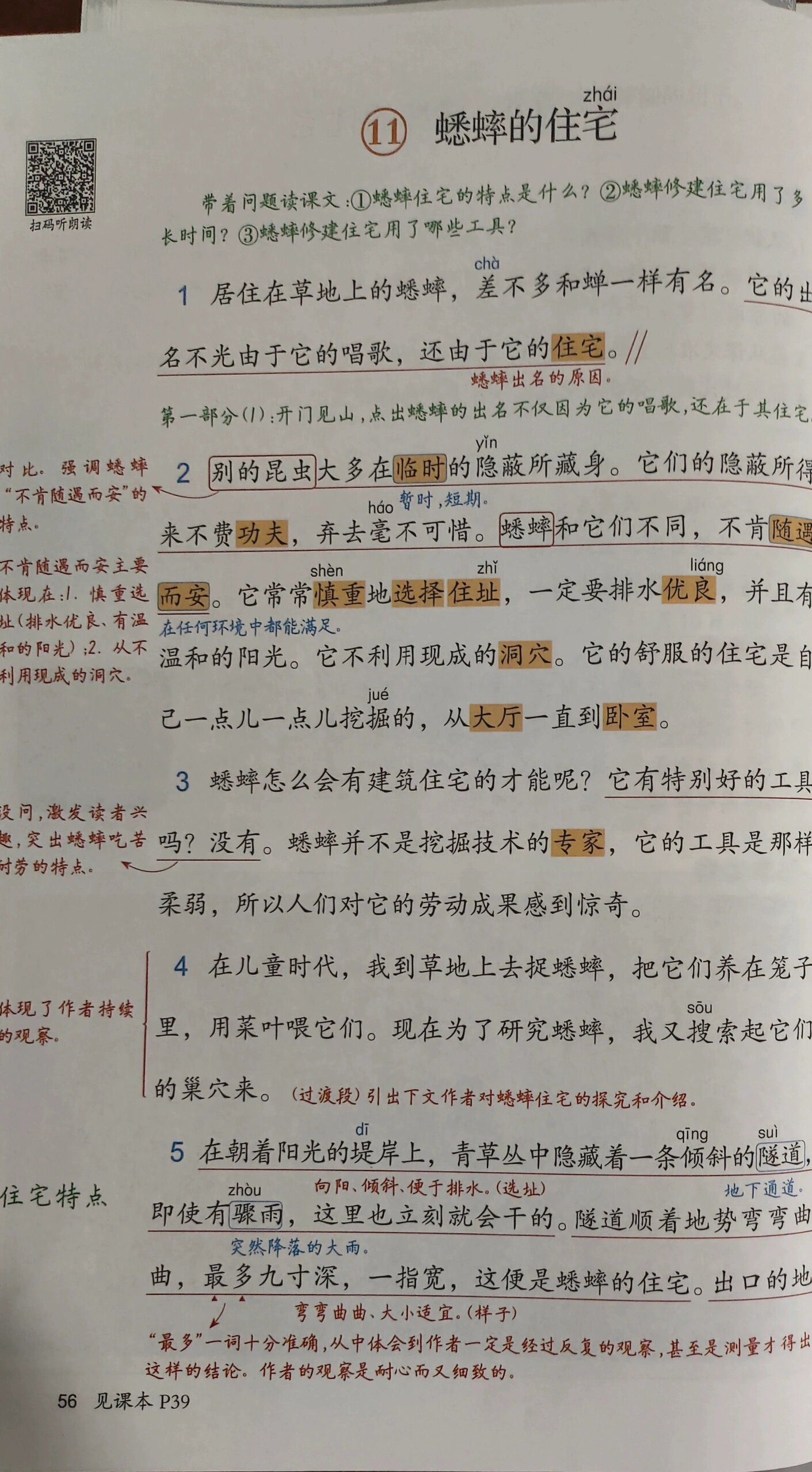 蟋蟀的住宅提问题图片