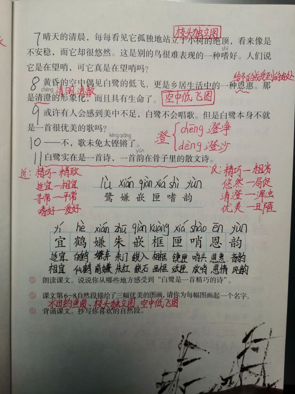 五上第一课《白鹭》课堂笔记