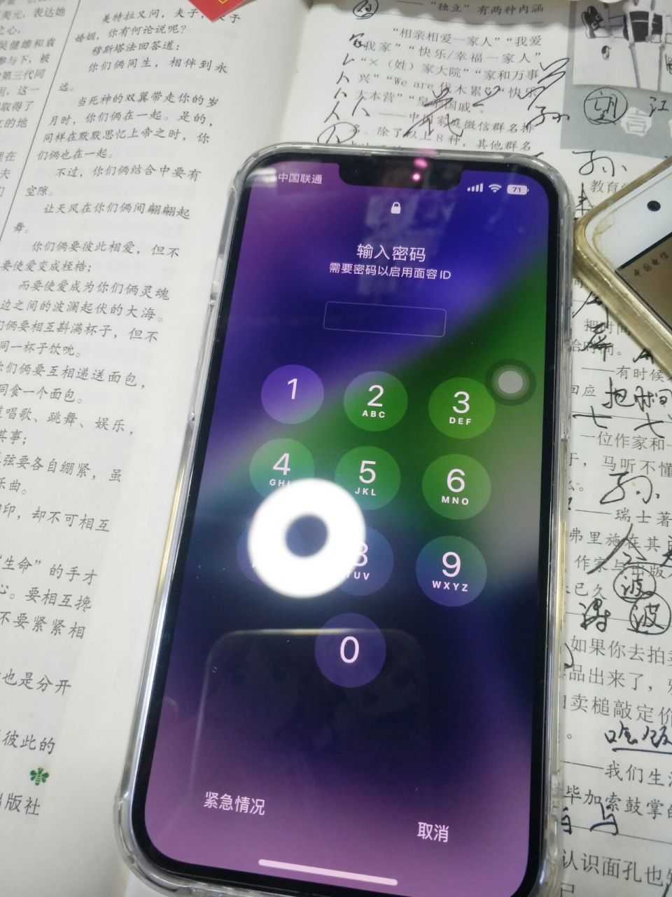 输入密码以启用面容id 已经锁了 1分钟 5分钟 15分钟  大伙有办法吗