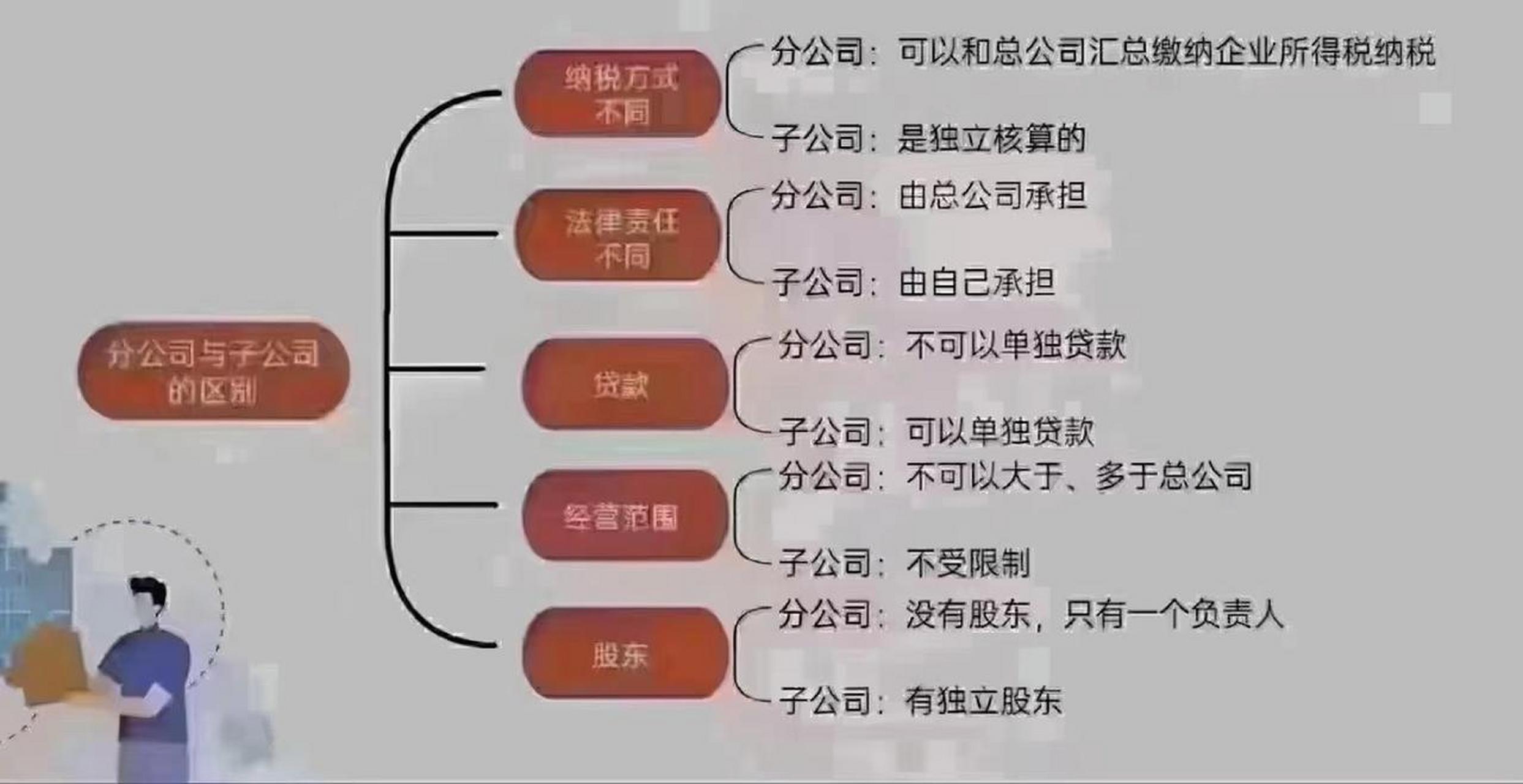 什么是子母公司? ● 什么是总分公司?