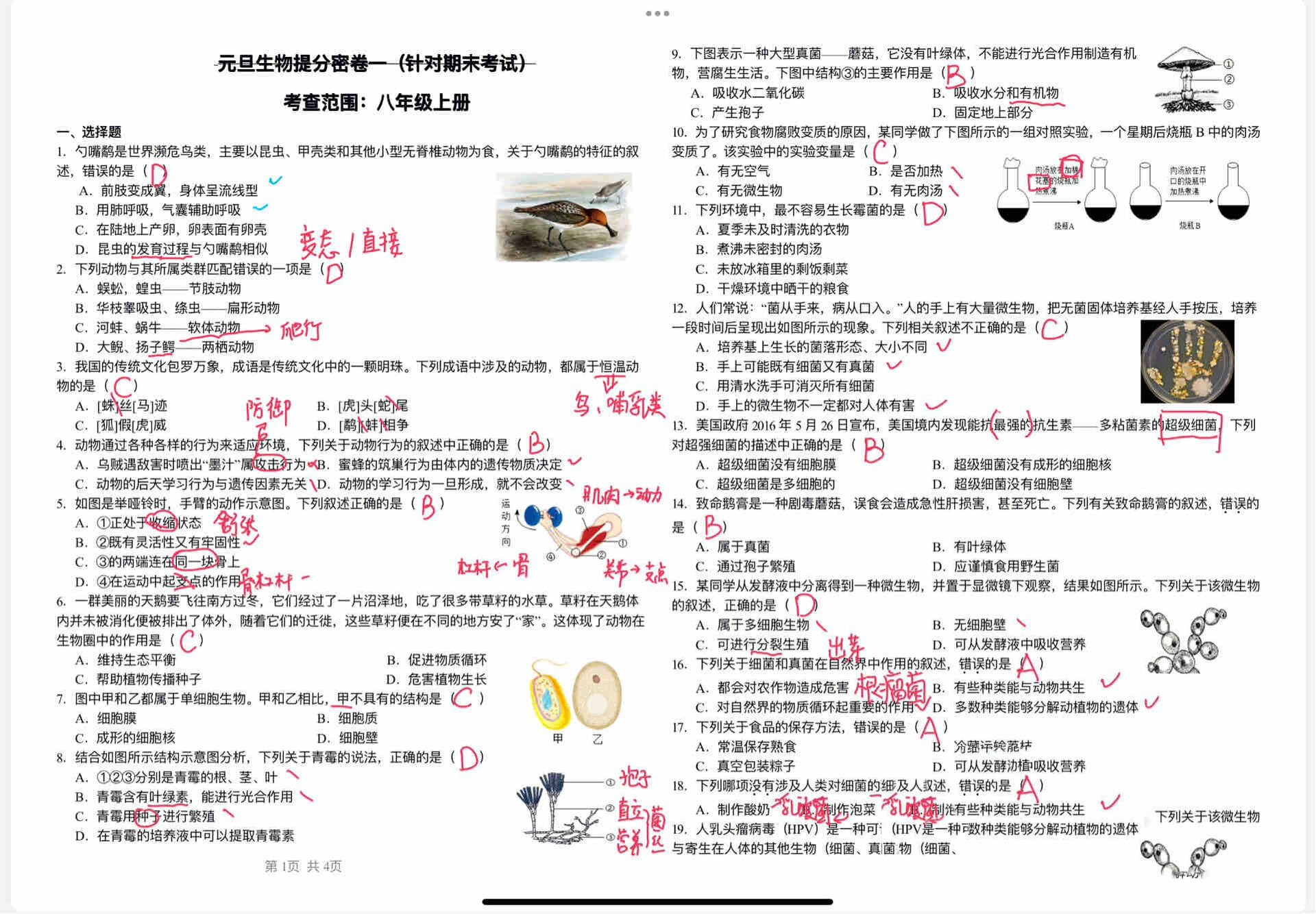 八年级上册生物期末
  第1张