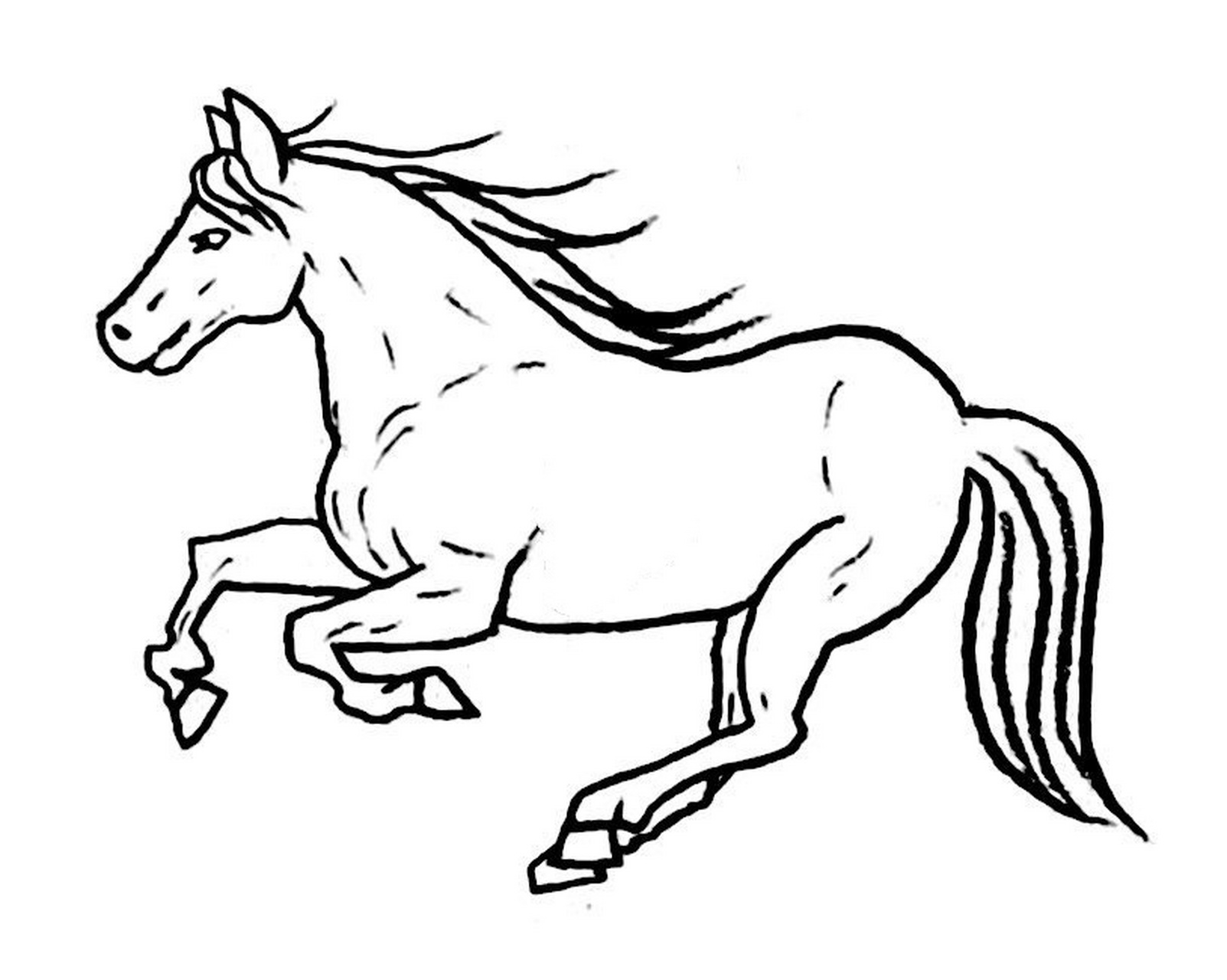 儿童画简笔画|各种动态的马·马98