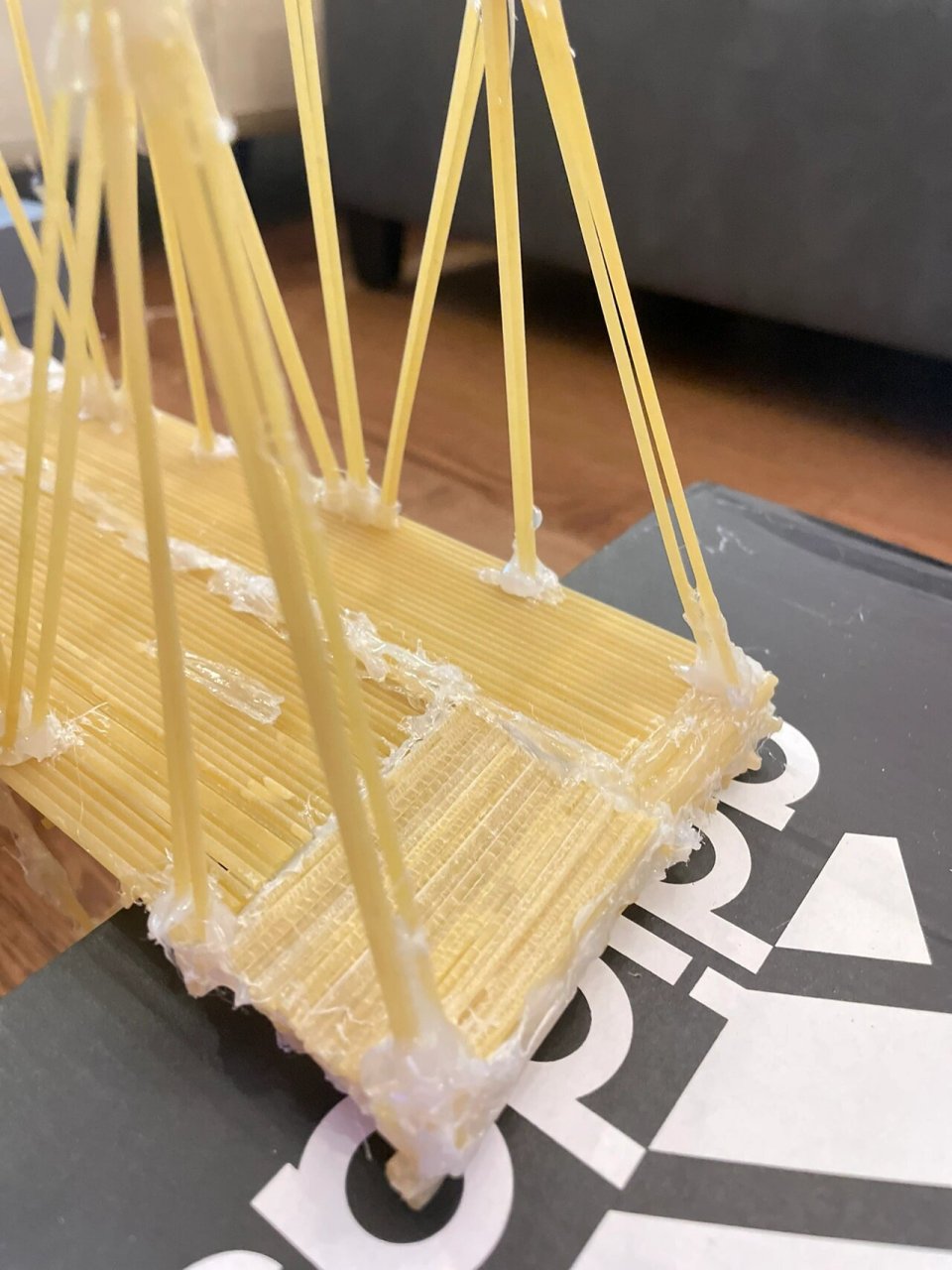 加拿大七年级科学作业,用意面搭的桥 还记得上次用吸管做的重力科学