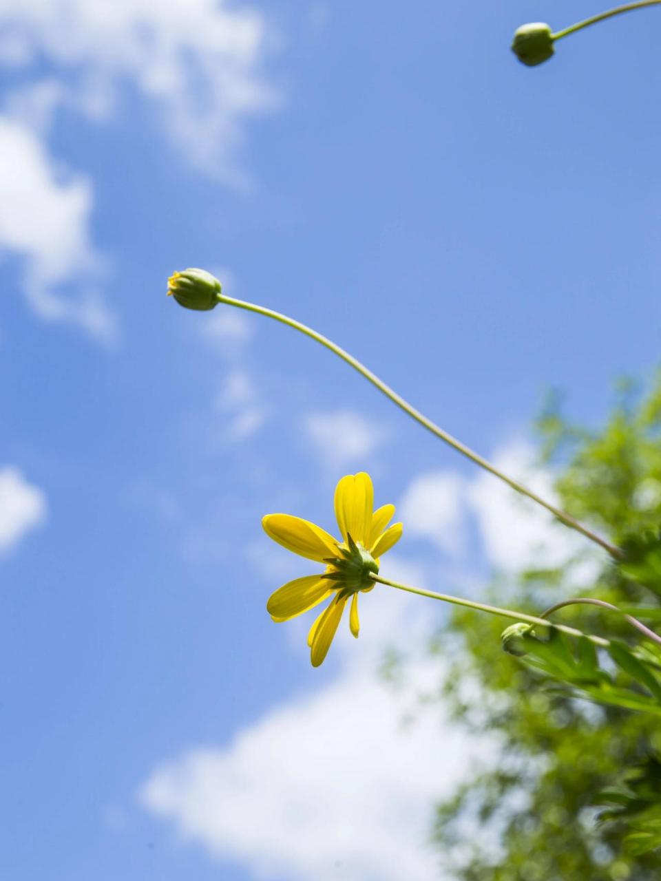 春天图片素材分享(4) 没有不可治愈的伤痛,没有不能结束的沉沦,所有