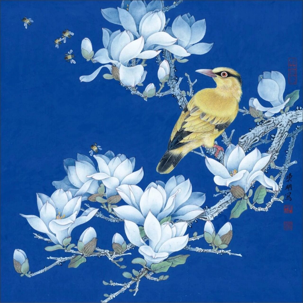 工笔画步骤分享《玉兰黄鹂》 1,花头部分用淡墨,接近于钉头鼠尾描的