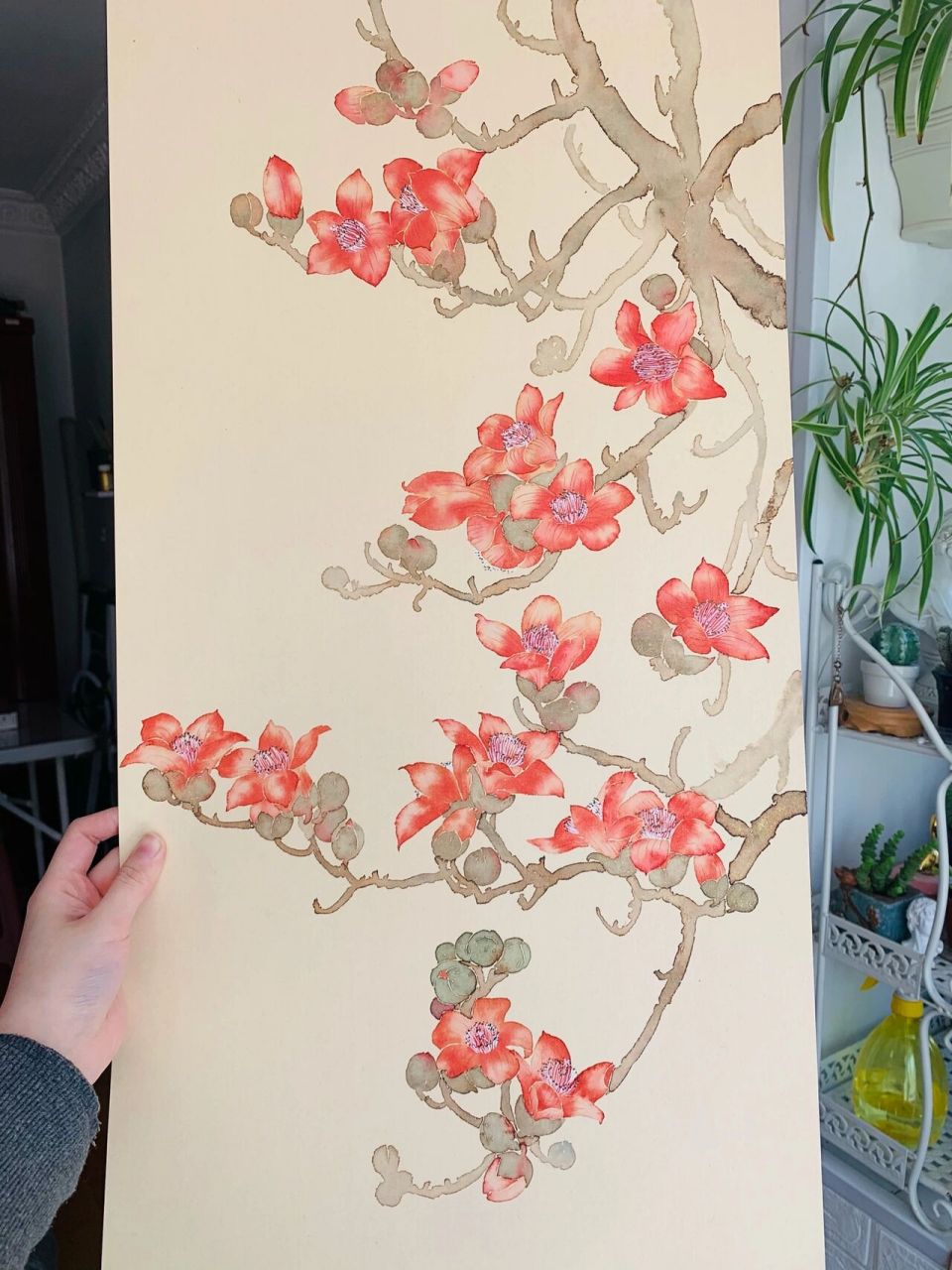 国画木棉花 没骨画法(含过程) 红棉春月竟相开,画一枝开得好的.