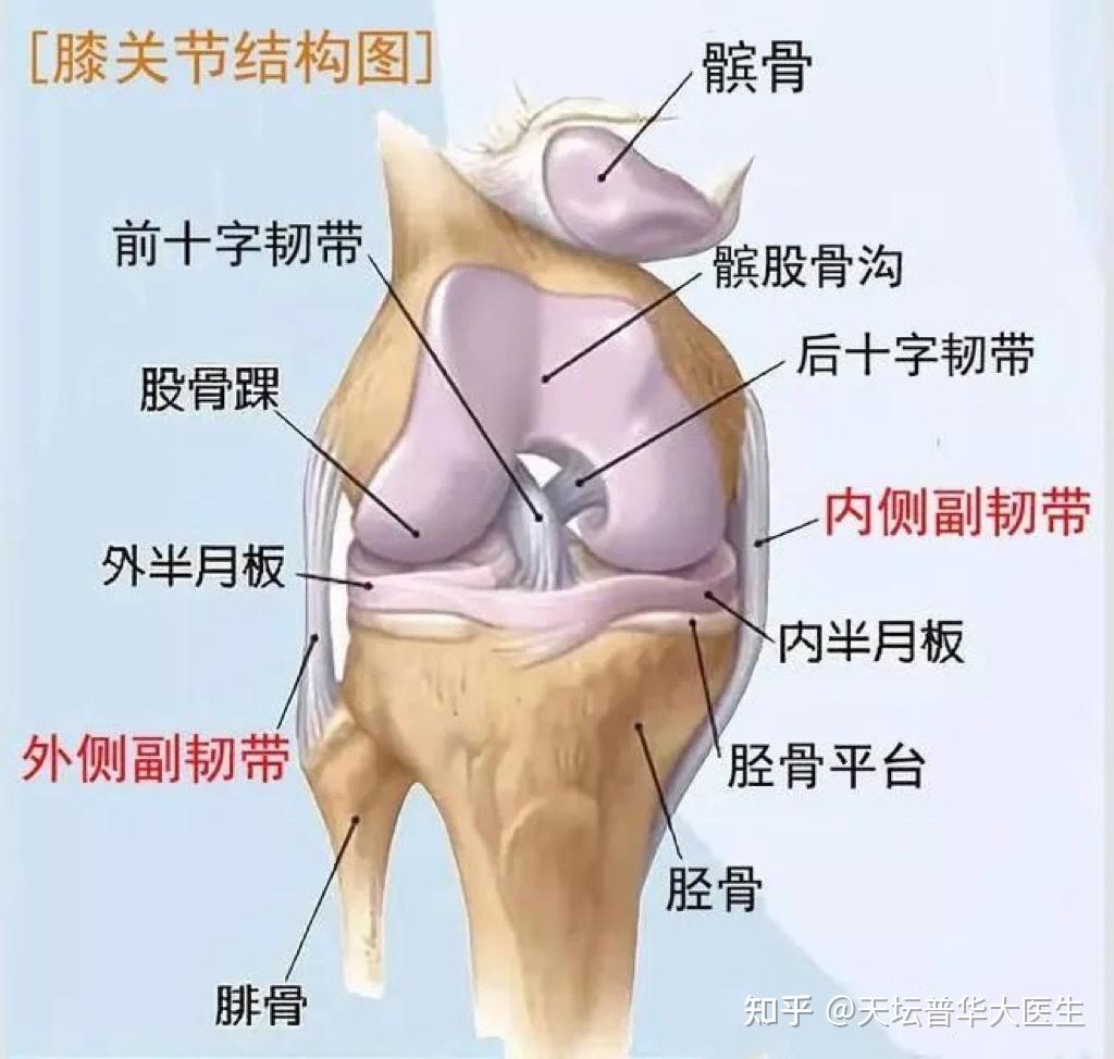 膝关节韧带损伤都有哪些症状