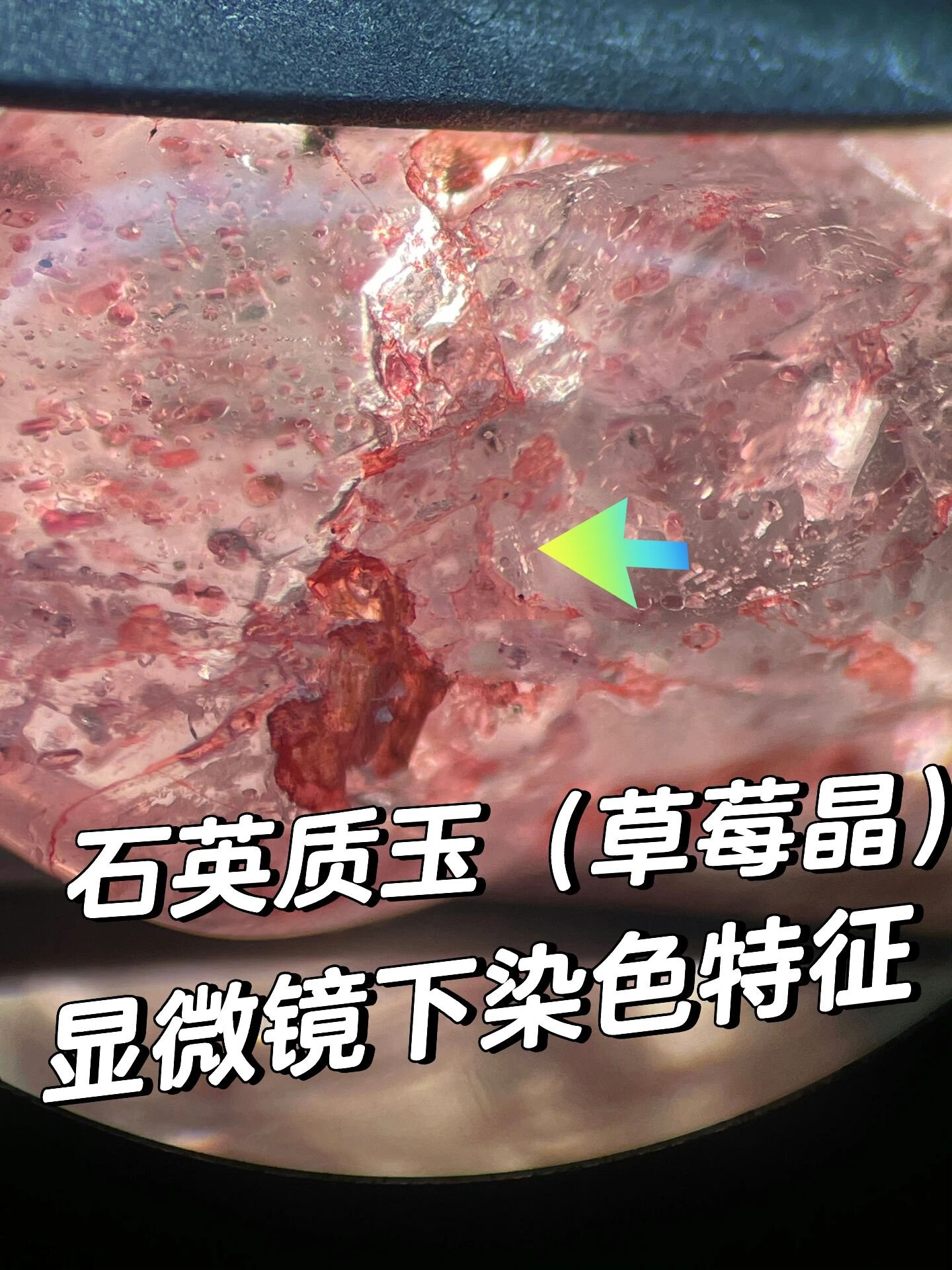 石英质玉(草莓晶)的染色特征