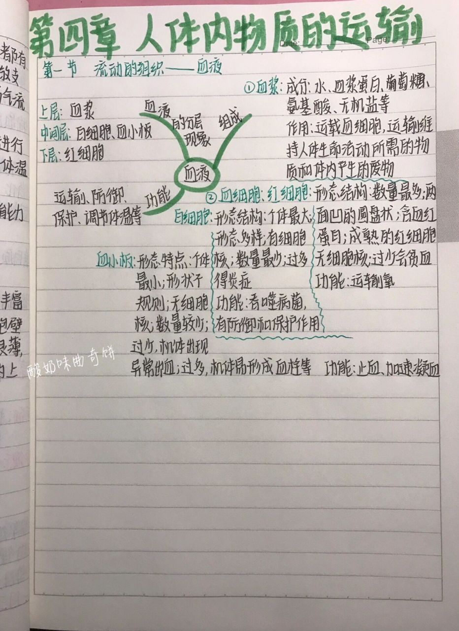 七下生物|第四章第一节 思维导图