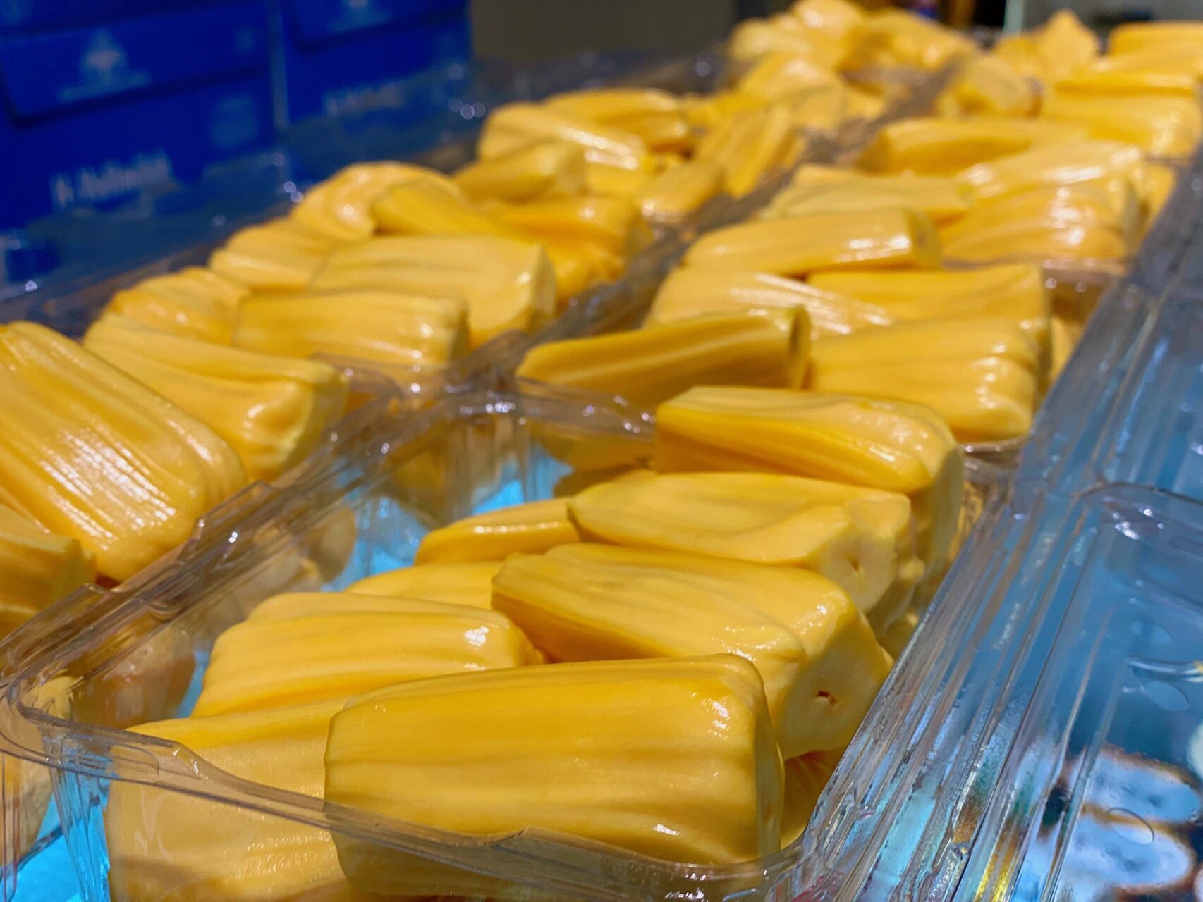 相对于黄肉菠萝蜜更脆更甜,甜度高达25度左右.