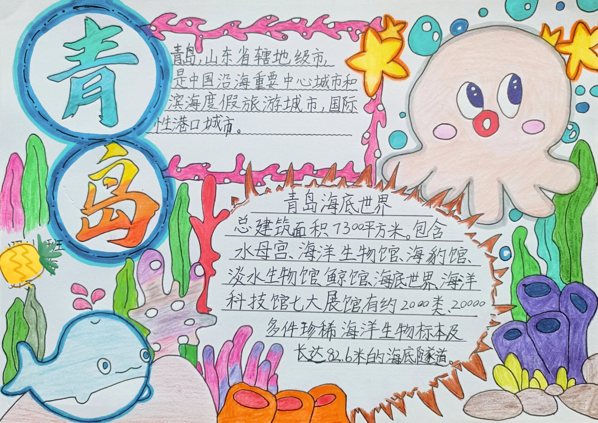 旅游手抄报 青岛 小学生手抄报
