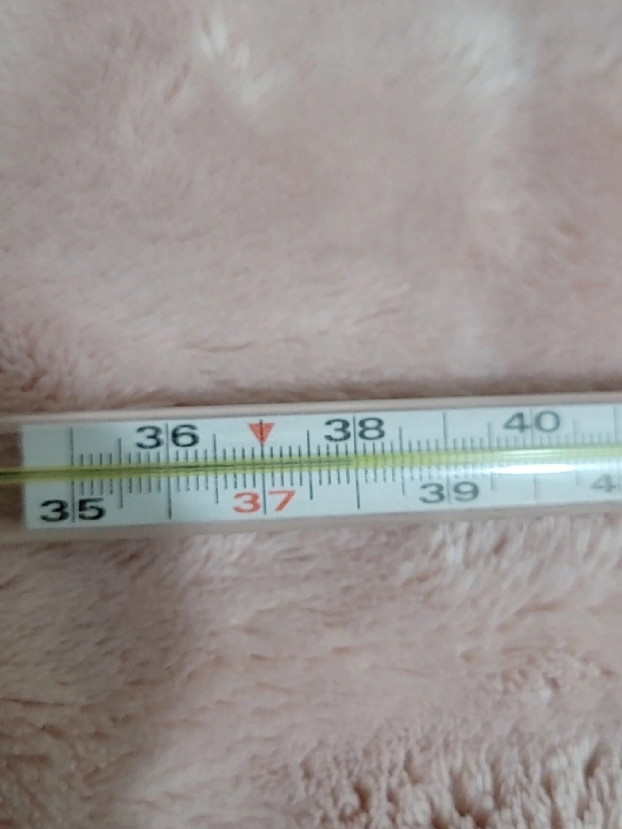 退烧不到一天,又发烧了