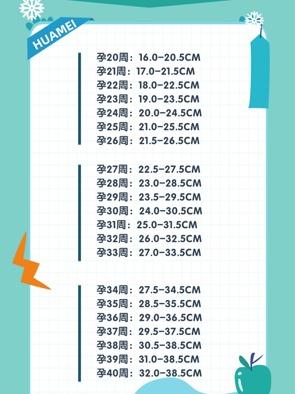 先来看看各时期宫高腹围的标准吧!
