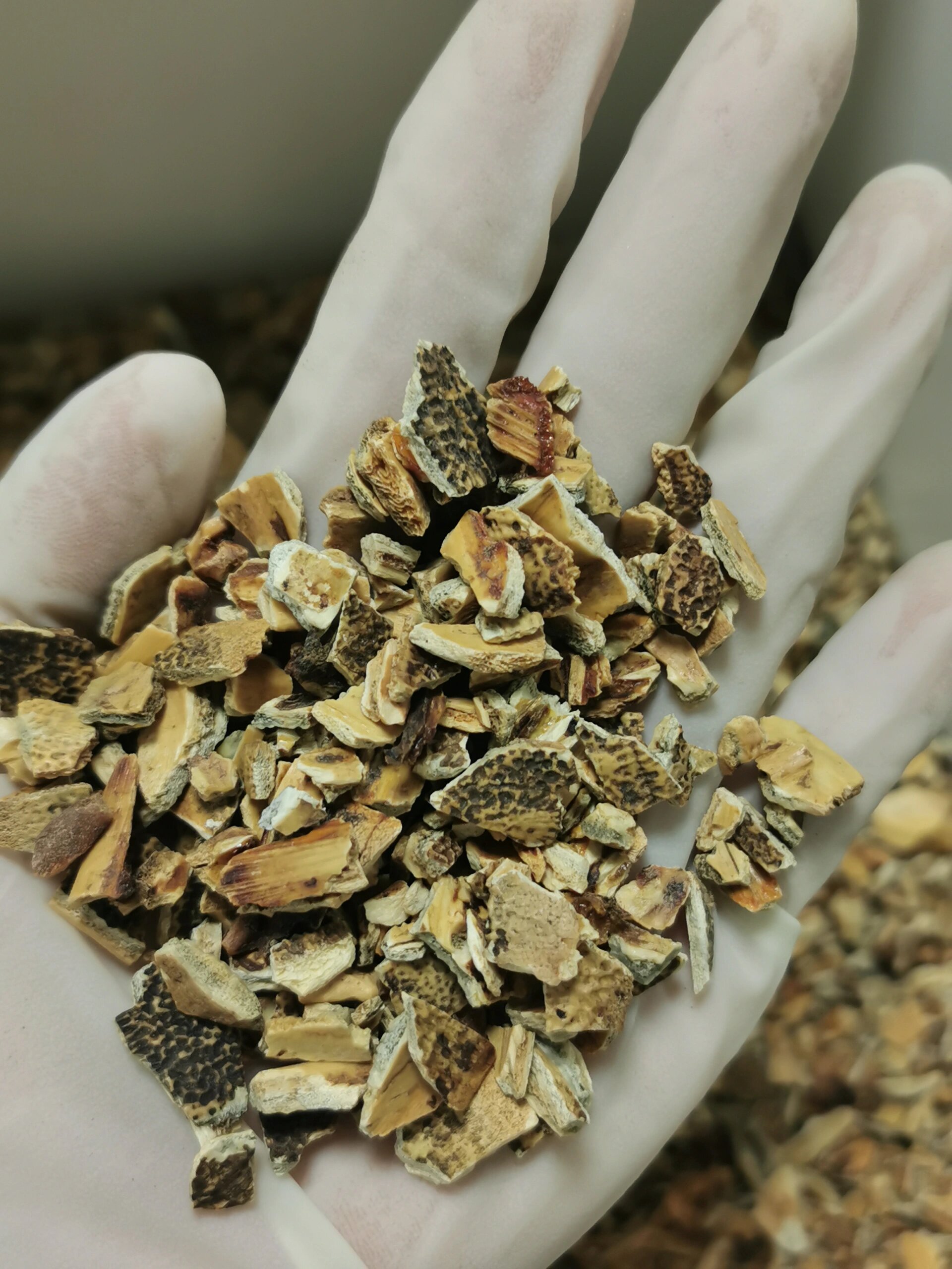 21 醋鳖甲 醋鳖甲的功效与作用 滋阴清热,潜阳息风,软坚散结 醋鳖甲是