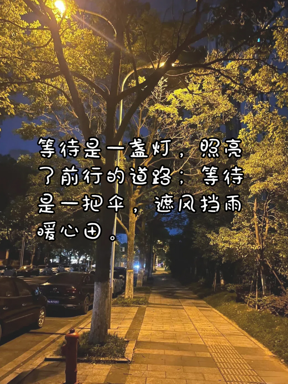 等待最经典一句话 93今天我要和大家分享的是关于"等待"的话题.