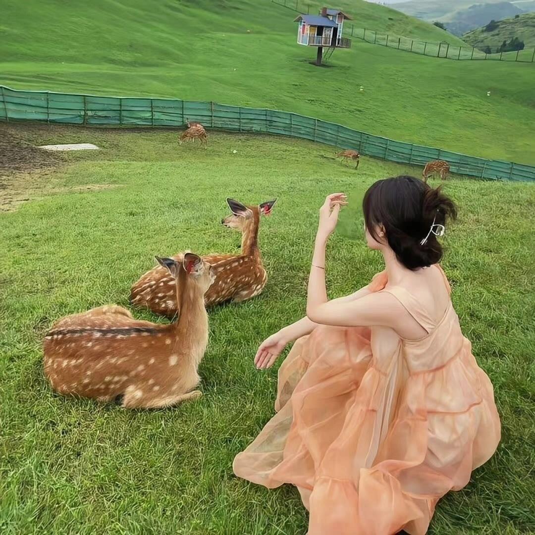 田园系列女生头像