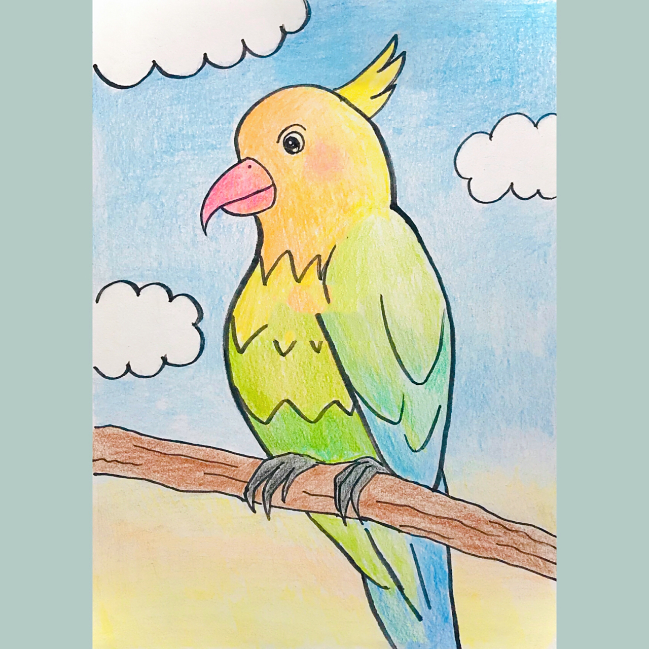 96简笔画教程|一起画鹦鹉00吧!