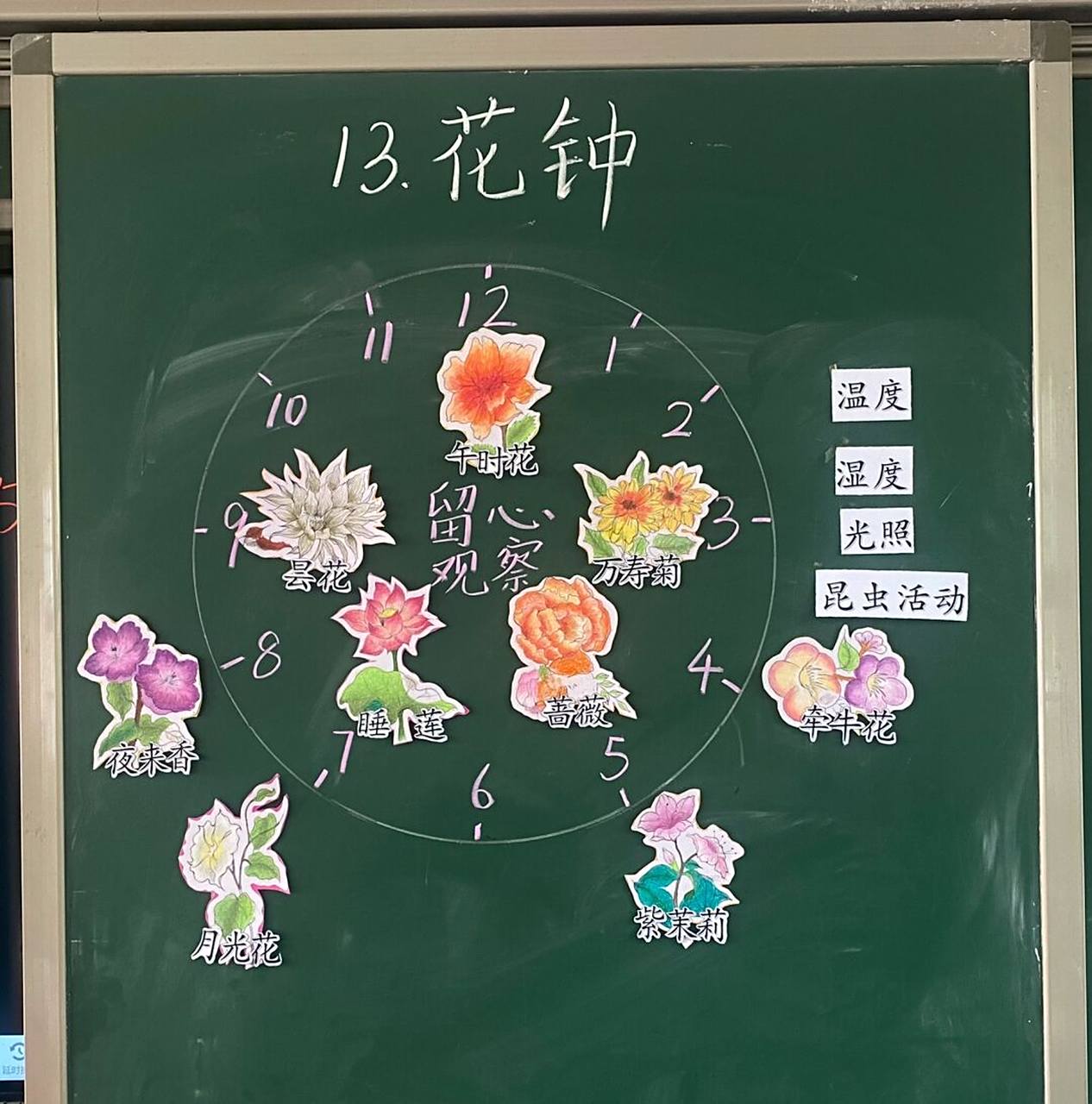 三下语文第13课《花钟》公开课板书设计 #公开课# #小学语文