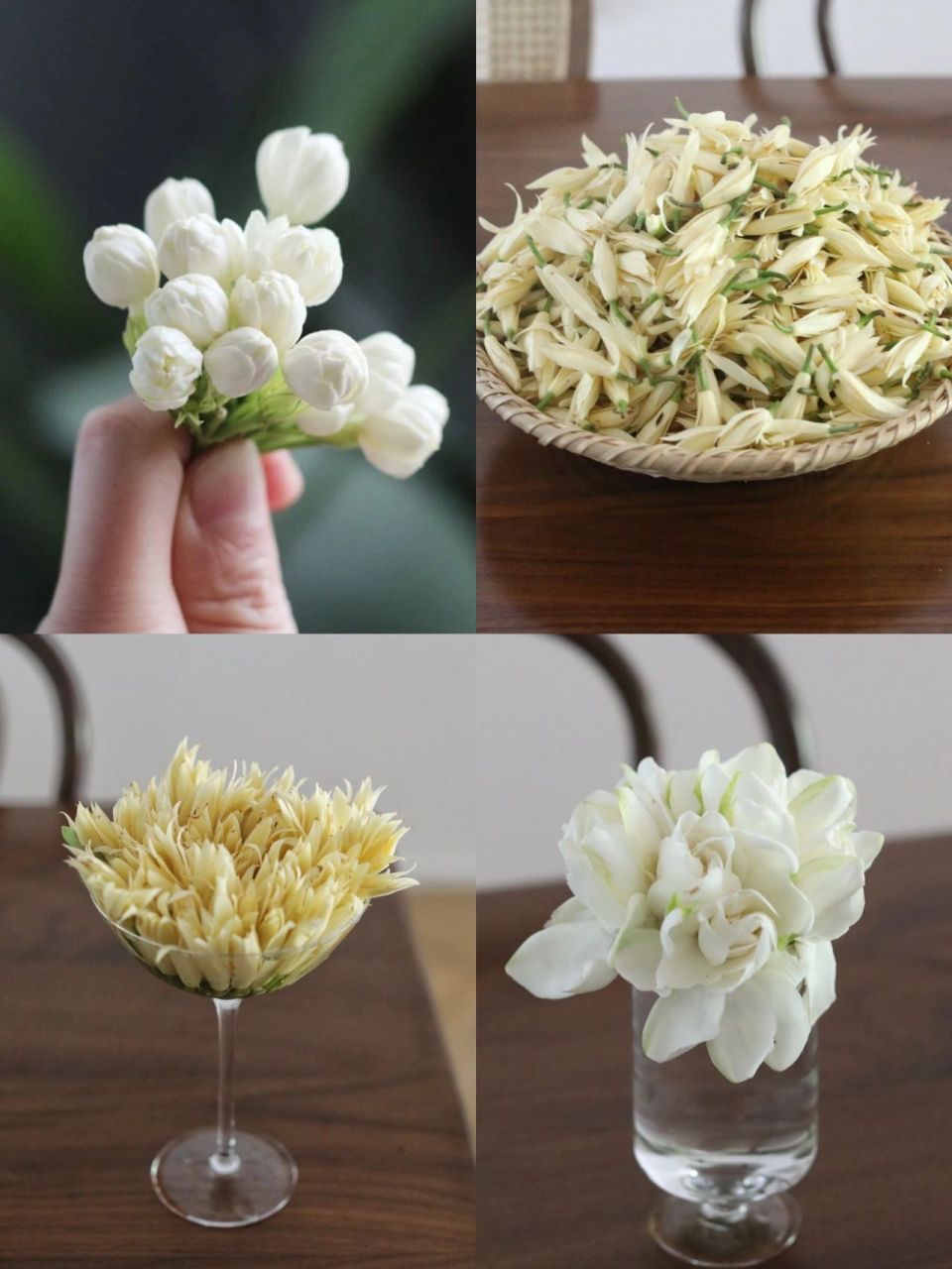 夏日三白|白兰花 栀子花 茉莉花 每年夏天在等这三种花盛开,早早花农